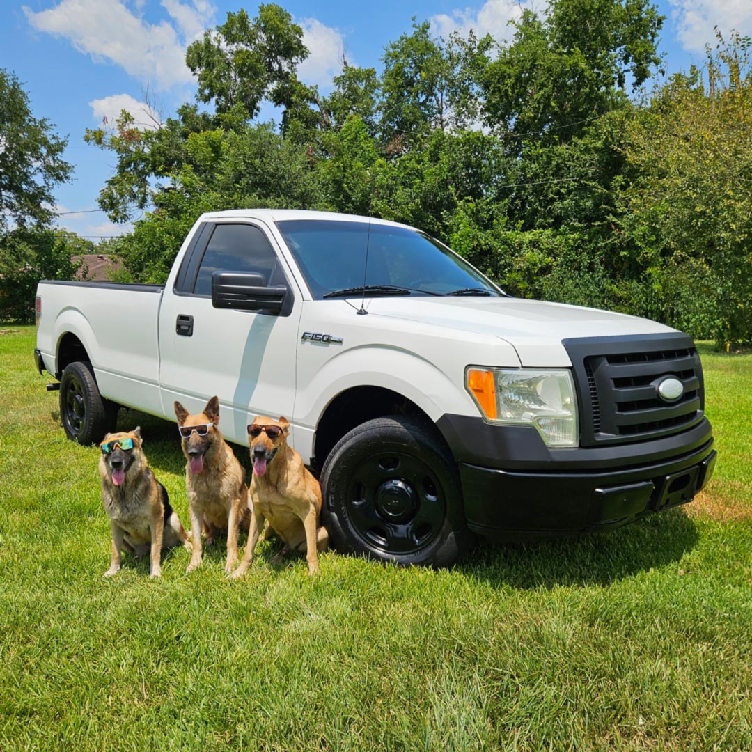 Ford