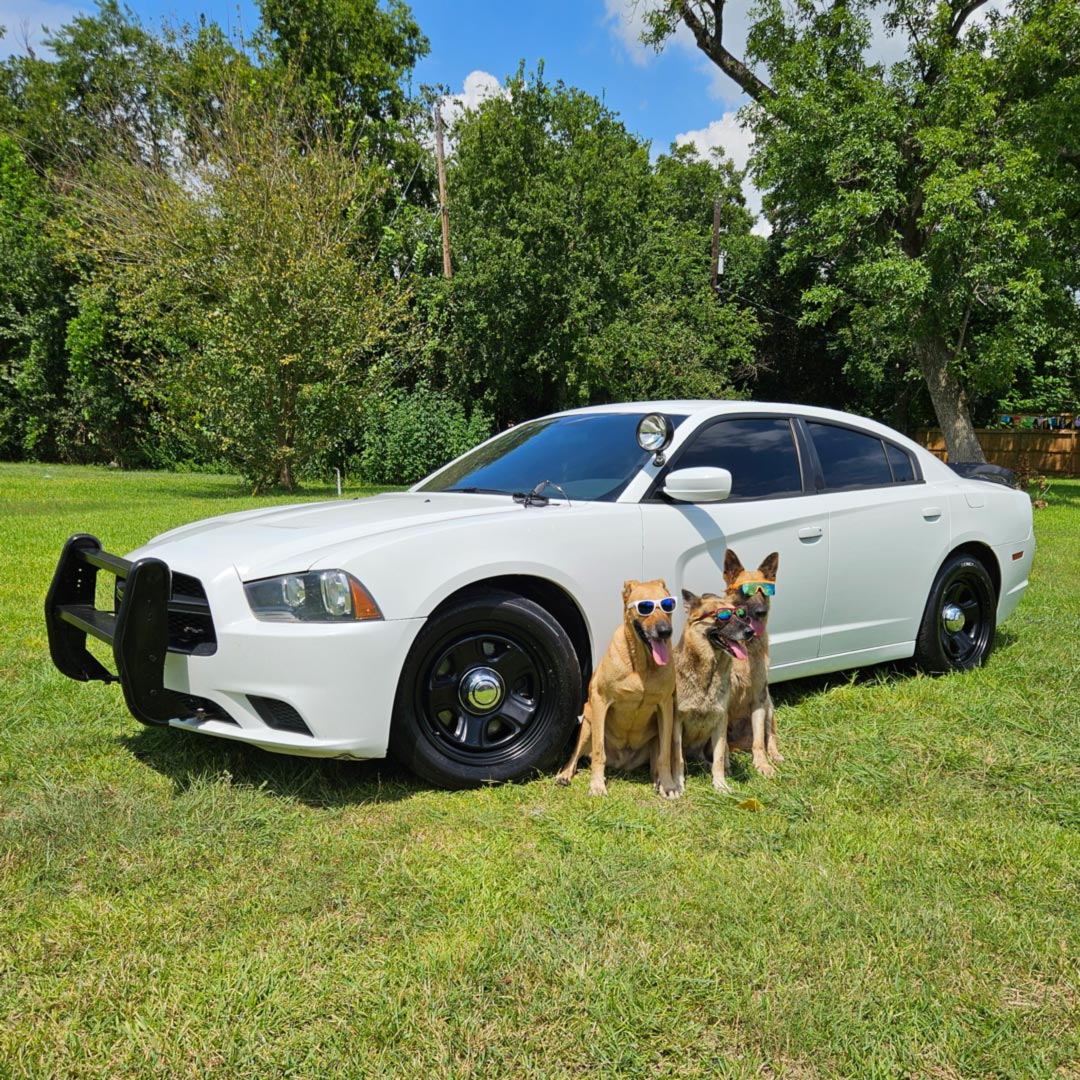 2012 Dodge Charger Police